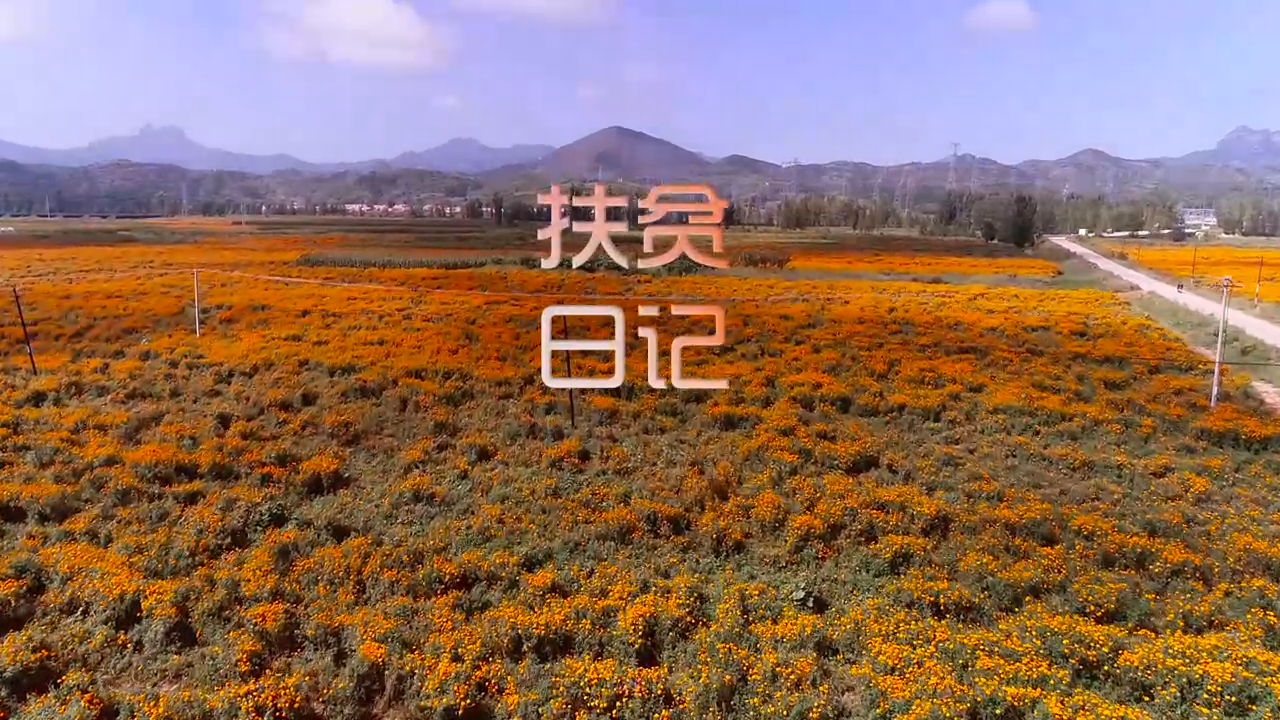 二等《扶贫日记》微电影（河北高速公路集团[00_00_14][20210105-145147].png